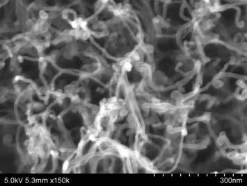 did not change the geometry of VA-MWNTs. However, TEM images reveal that a layer of thin (less than 1 nm) plasma polymer coating has formed along the nanotube length after plasma polymerization (Fig.