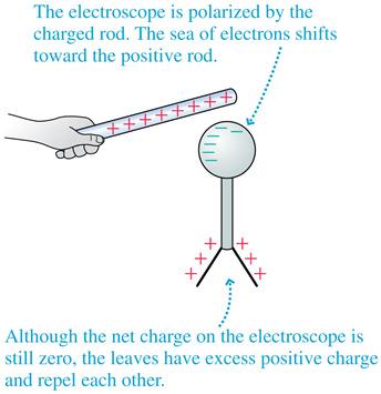 Slide 25-50 Charge Polarization Charge polarization produces an excess positive charge on the leaves of the electroscope, so they repel each