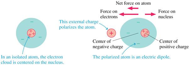 The Electric Dipole The figure below shows how a neutral atom is