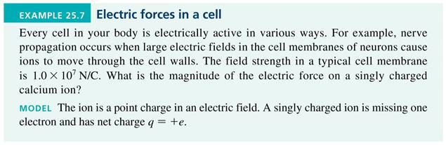 The Electric Field A charged particle with charge q at a point in space where the electric
