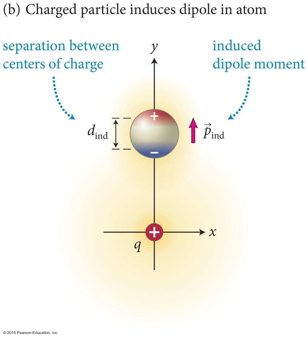 Clicker Question 1 How does the force on the charge q and the induced dipole moment depend on the distance y between