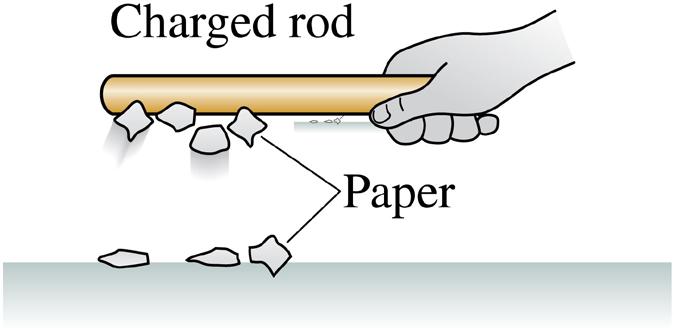 The pieces of paper leap up and stick to the rod. A charged glass rod does the same.