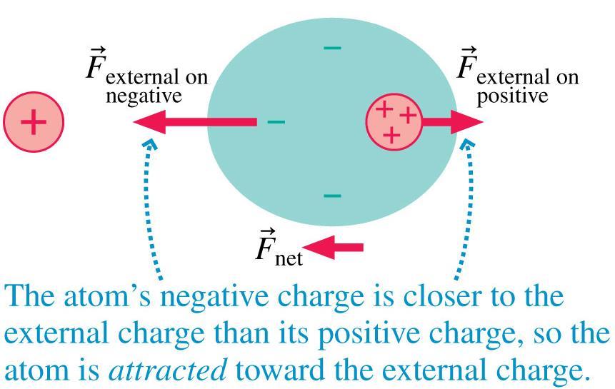 Electric Dipoles When the polarization is caused by an external charge, the atom has become an induced electric dipole.