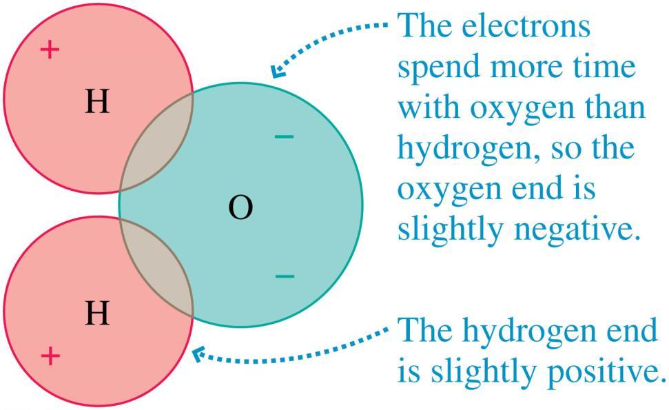 Hydrogen Bonding Some molecules have an asymmetry in their charge distribution that makes them permanent electric dipoles.