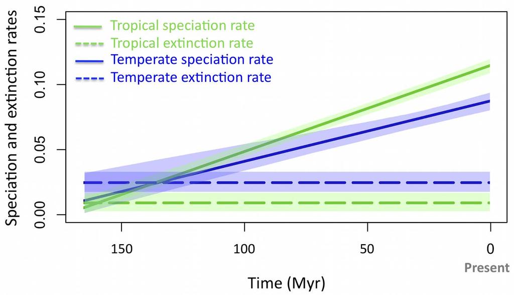 Figure 3. Speciation and extinction rates through time in the temperate and tropical biomes.