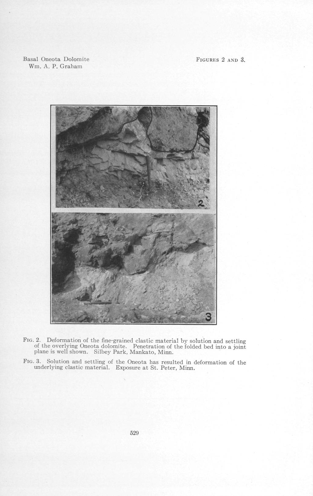 Basal Oneota Dolomite Wm. A. P. Graham FIGURES 2 AND 3. FIG. 2. Deformation of the fine-grained clastic material by solution and settling of the overlying Oneota dolomite.