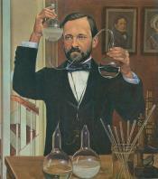 "the father of immunology Louis Pasteur developed pasteurization created
