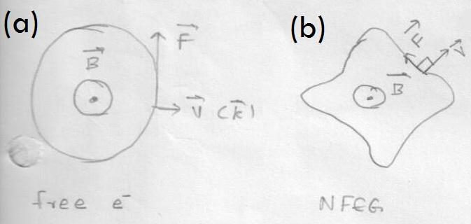 Figure 19: (a) Movement of a free electron in a magnetic field (b) Movement of a nearly free electron in a magnetic field.