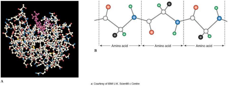 Chemical Uniqueness: Living systems demonstrate a unique and complex molecular organization Small
