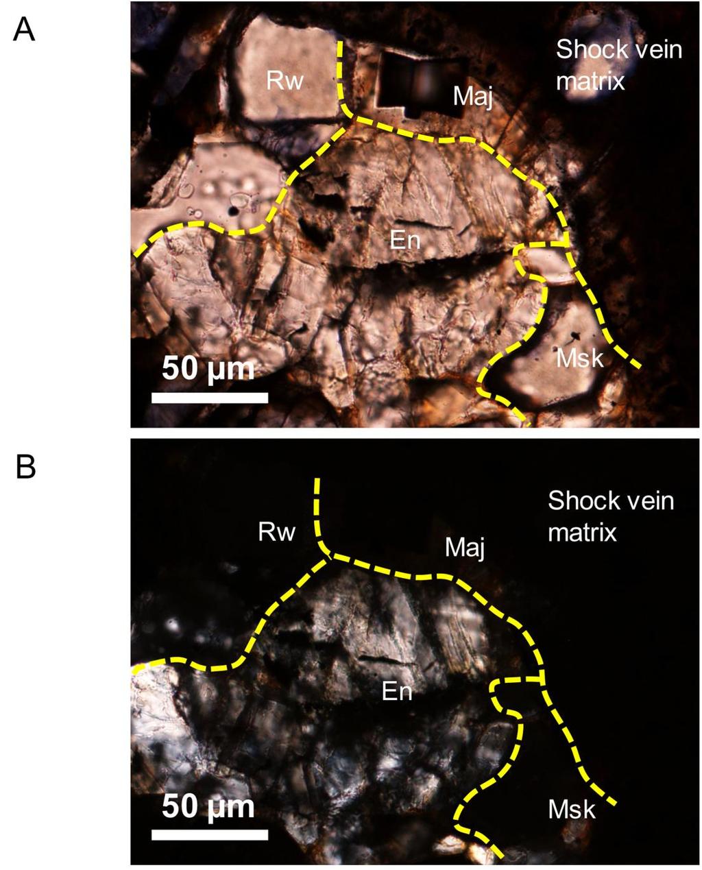 fig. S2. Polarized optical micrographs of a fragment of host rock captured in a shock vein. Maj: (Mg,Fe)SiO3 majorite, Rw: (Mg,Fe)2SiO4 spinel (ringwoodite), and En: (Mg,Fe)SiO3 pyroxene.