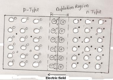 diffusion of holes from p-type to n-type and diffusion of electrons from n-type to p-type will be started.