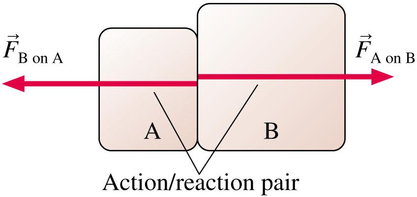 Interacting Objects If object A exerts a force on object B, then object B exerts a force