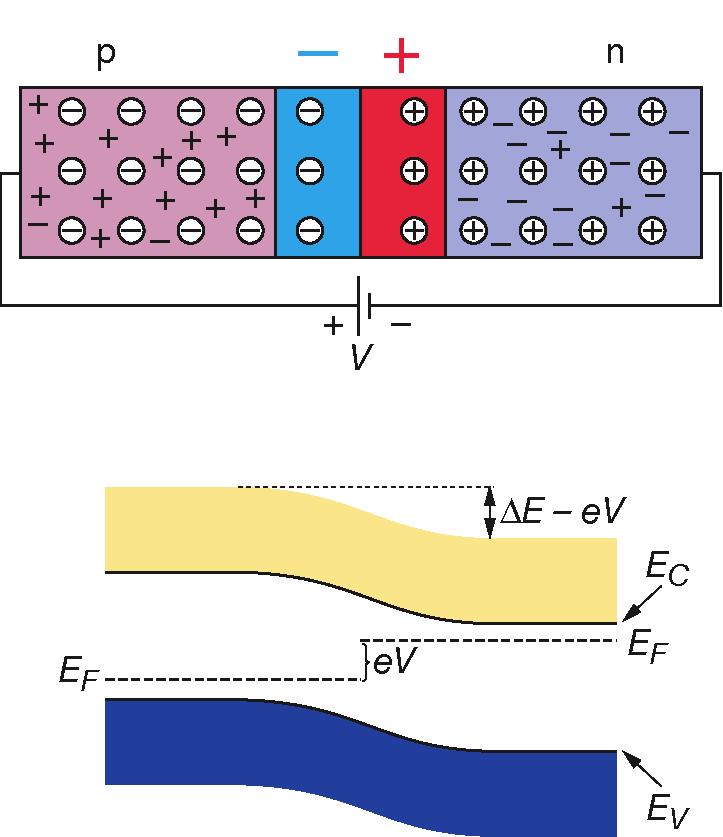 Operation of a pn-junction with forward bias Applying an external voltage V with the anode to p and the cathode to n e- and holes are refilled to the depletion zone.