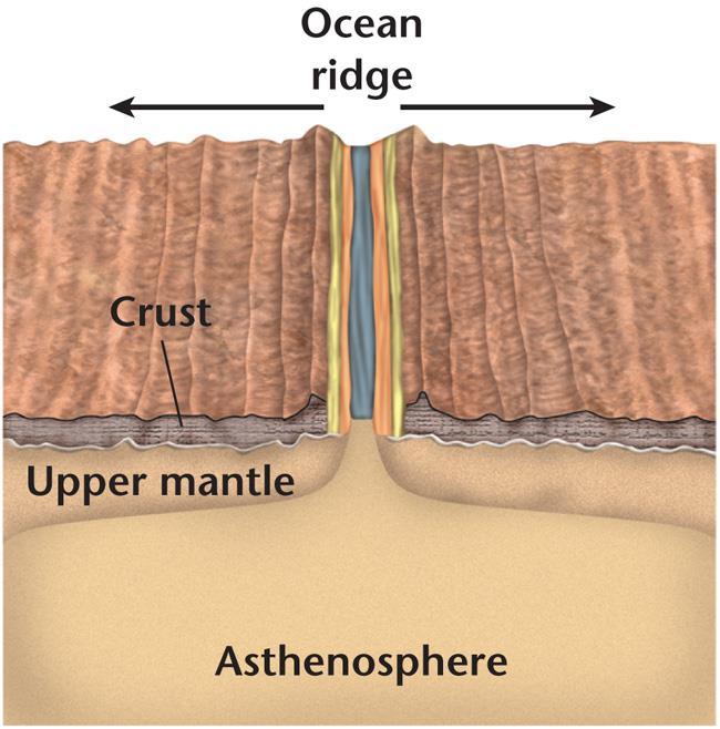 Seafloor Spreading Seafloor Spreading When the magma hardens, a small amount of new ocean floor is added to Earth s surface.