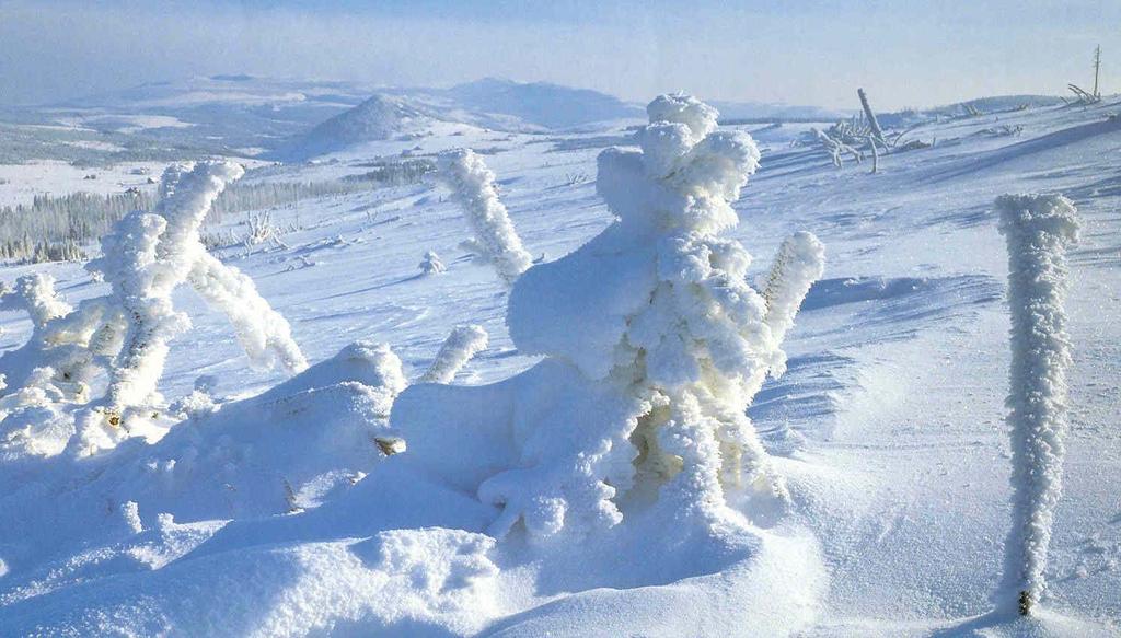 SNOW-PACK CHEMISTRY Contact with air pollutants. Shape and area of snow-flakes.