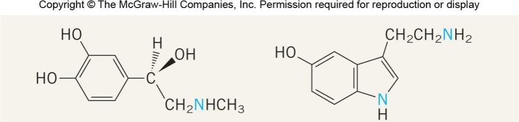 Amines as Natural Products Neurotransmitters: Epinephrine Serotonin