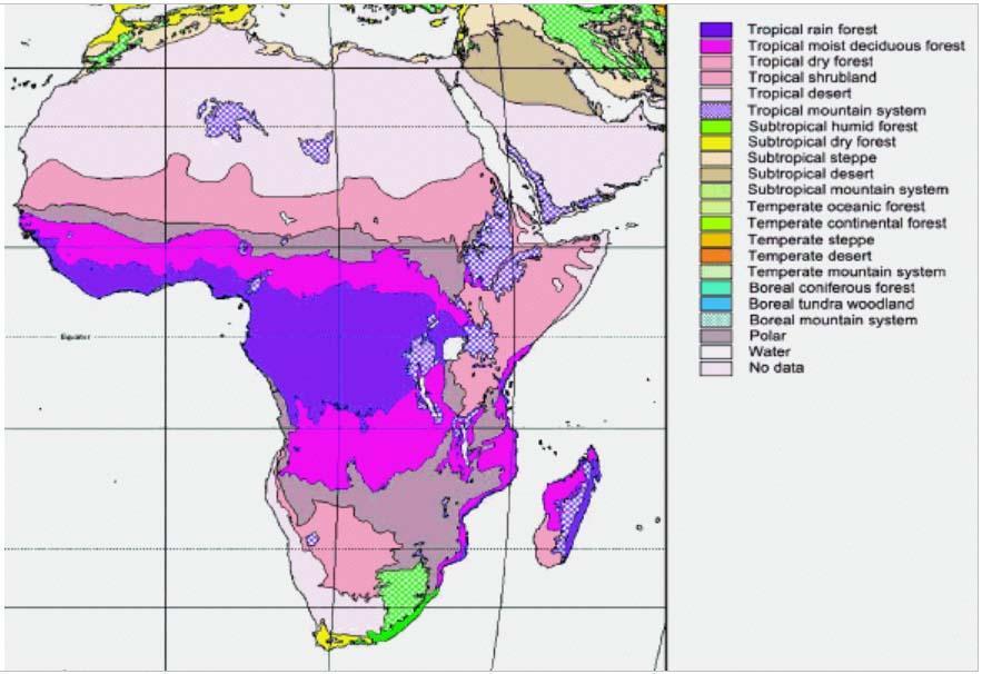 Land Cover based approach Ecological zone: FRA 2000 map The Global Ecological Zone Map, reported in the FAO Forest