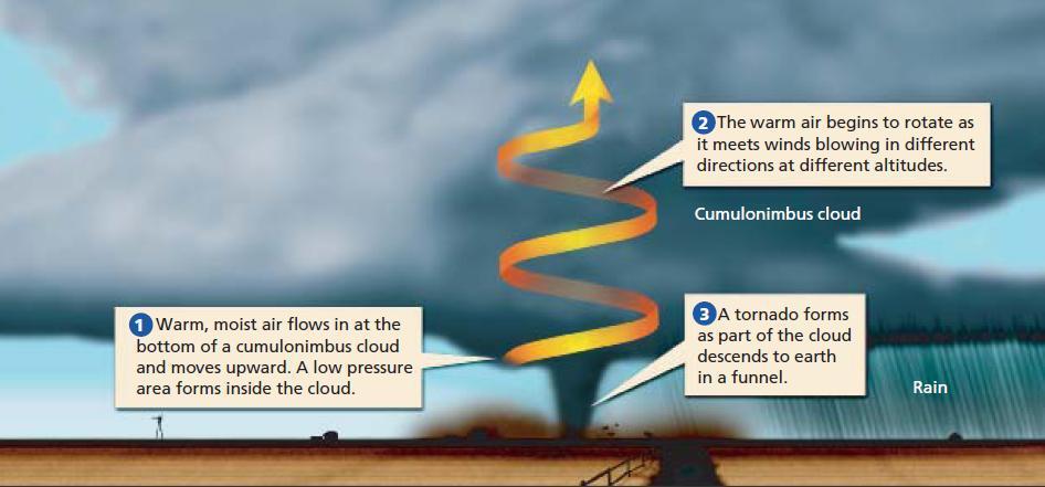 Tornadoes Form most commonly in cumulonimbus clouds Warm moist air
