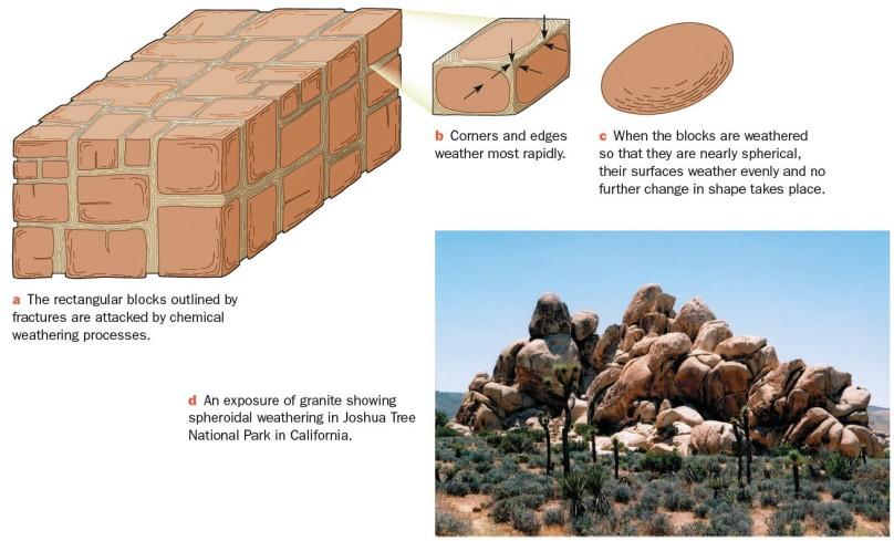 Chemical Weathering - Decomposition of Earth Materials Spheroidal Weathering Angular rocks tend to round during chemical