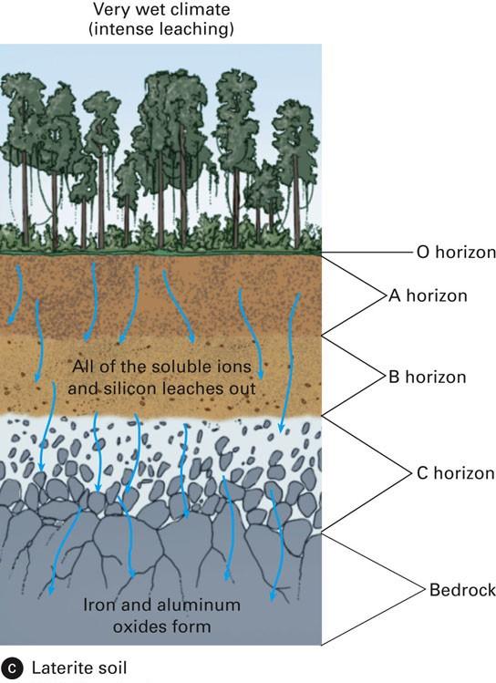 Soil and Its Origin Factors that Control Soil Formation Types of Soils: Laterites Thick B horizon rich in