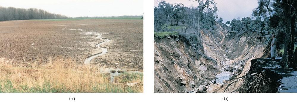 Expansive Soils and Soil Degradation Soil Degradation Soil erosion is caused mostly by sheet and rill erosion.