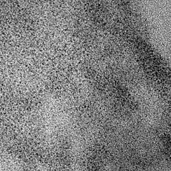 TEM images and size distribution of [Fe(pz)] 2+ /[Ni(CN) 4 ] 2-