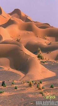 Different Climate desert An arid (dry) region with low precipitation.