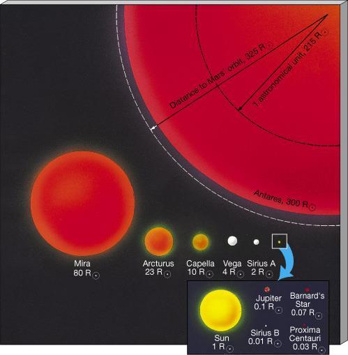 Stellar Sizes compared to size of our Sun.