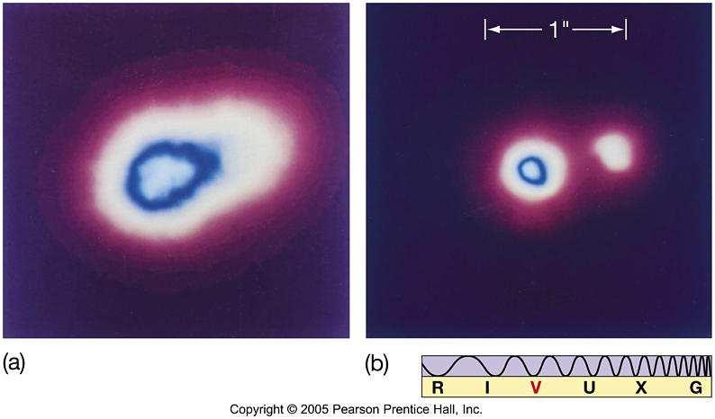 New Telescope Design Analyzing the image while light is still being collected. Controlling mirror defocusing & Temperatures, by using Active Optics.