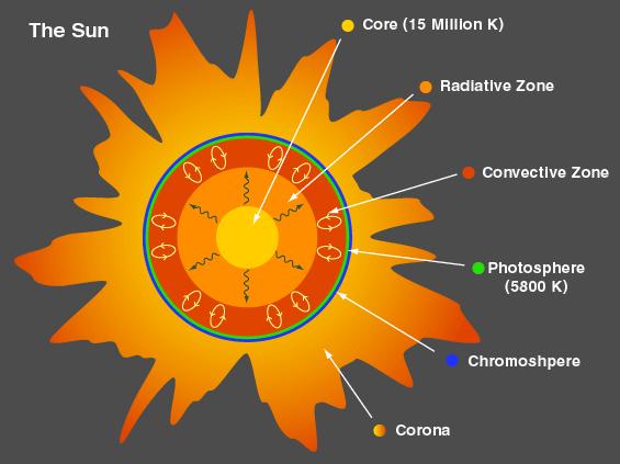 THE SOLAR INTERIOR At the Sun s rate of hydrogen fusing, it is about halfway