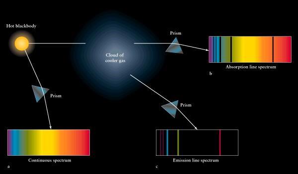STELLAR EVOLUTION Mass determines a star s temperature, luminosity, and
