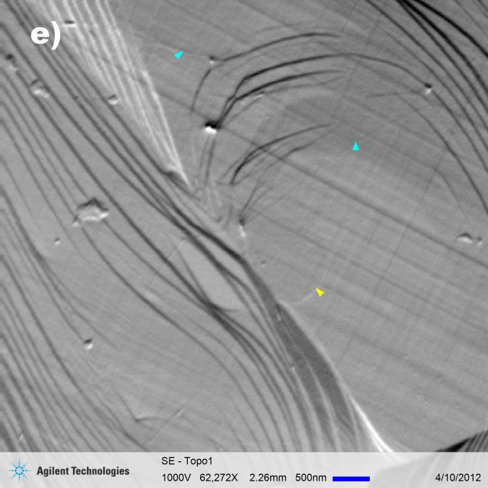 Graphene wrinkles are discernable in the topo image.