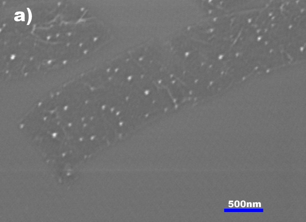 Graphene ribbons Graphene nanoribbons have unique electrical properties which can find potential