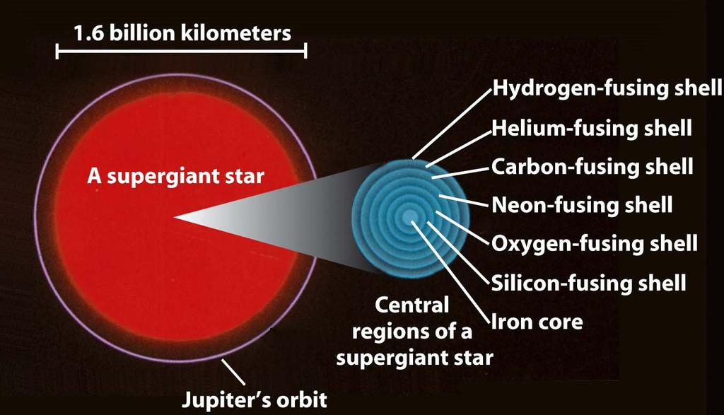 In the last stages of its life, a high-mass star has an iron-rich core surrounded by concentric shells hosting the various thermonuclear reactions The sequence