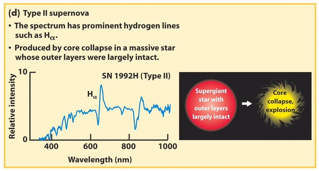 Type II supernovae are created