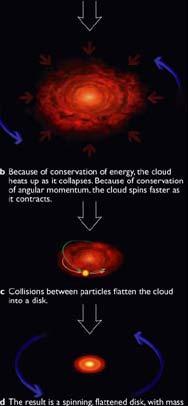 Collisions flatten the cloud into a disk.