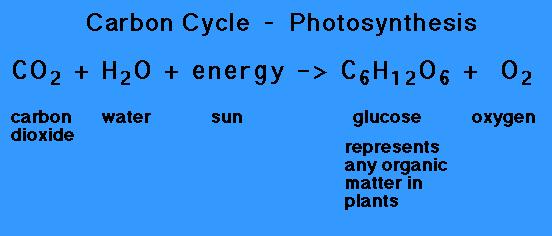 organisms capable of converting radiant energy or chemical energy into carbohydrates GPP: amount of sugar plants produce in photosynthesis amount of sugar