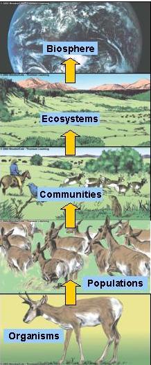 Ecology- study of relationships between organisms and their environment examines how organisms (biotic)