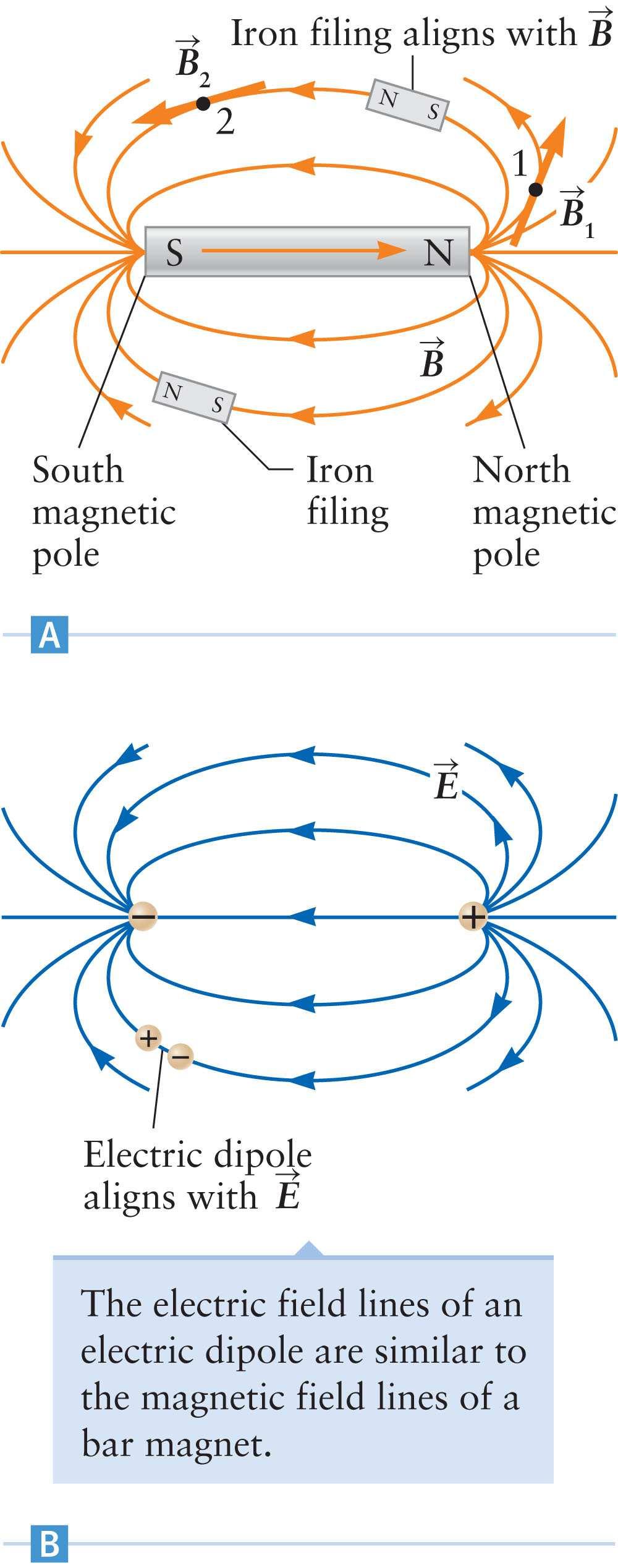 Field Lines The magnetic field lines always