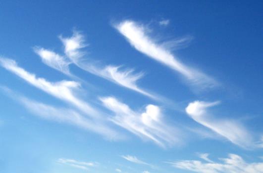 COMMON TYPES High clouds cirrus