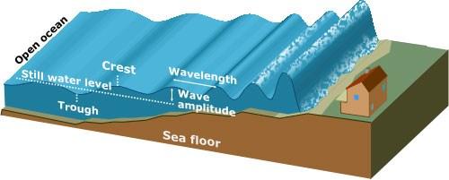 Tsunami Tsunami wave may be 1m deep in ocean Becomes 30m high on