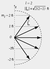 Figure 1: The angular momenta for the states Y lm form a half circle of radius h ll+1 projecting down on the z axis at integer steps at h l, l + 1,...,l 1,l.