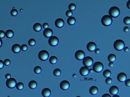 Summary The formation of microspheres might have