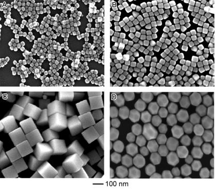 Synthesis of Ag nanocube particles SEM images of four typical examples of Ag nanocubes: (A-C) cubes of 3, 5, and 11 nm in edge length and, and (D) truncated cubes of 1 nm in