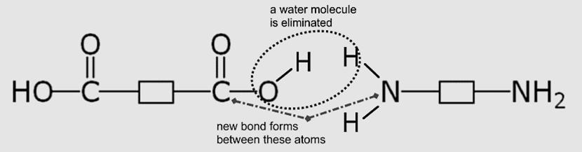 Nylon an example of a Condensation Polymer Alkenes aren t the only molecules that can polymerise. Nature found a way long before we were on the scene.