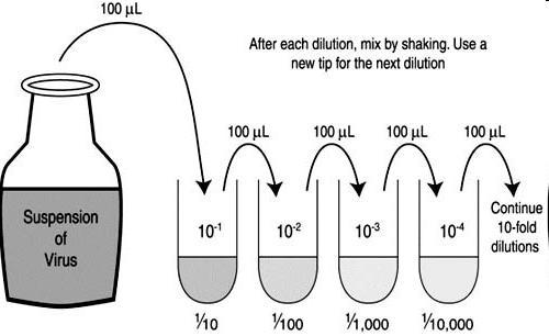 10x Dilutions: To make 10x dilutions from a starting stock solution: Stock Suspension + 900 μl