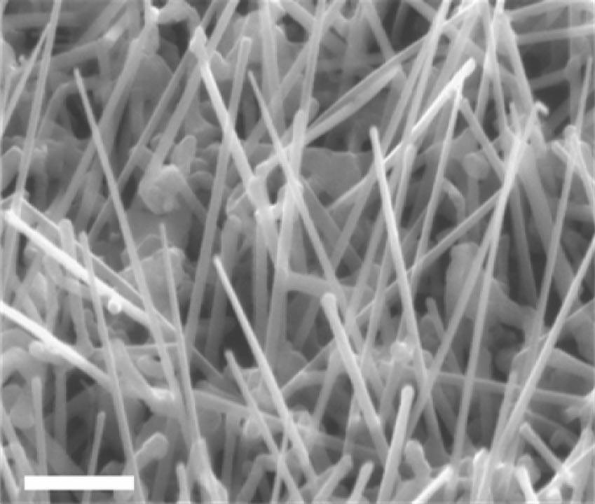 Minimizing production cost Recently, researchers at UCSD have discovered that the efficiency of solar cells can be greatly increased by coating the cell surfaces with indium phosphate nanowires.