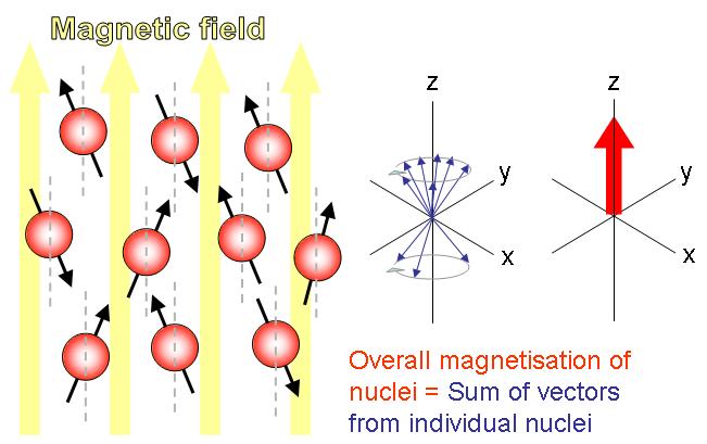 owever, when a magnetic field is applied,