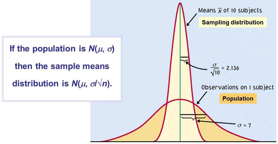 For Normally Distributed Populations When a variable in a population is normally distributed, the sampling distribution