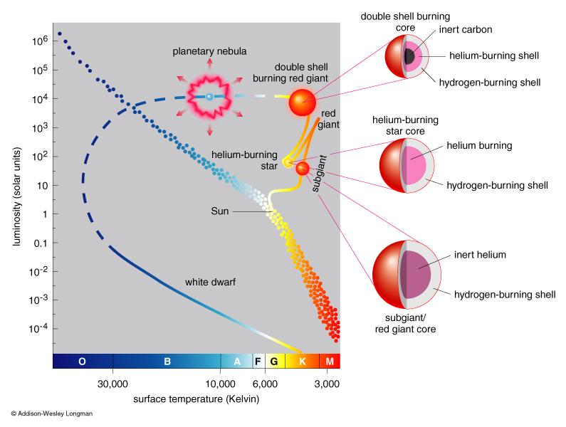 Onset of helium burning Helium flash and the horizontal branch As the inert core of a red giant star progressively shrinks, its temperature rises (the virial theorem again) When the central